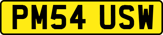 PM54USW