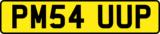 PM54UUP