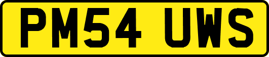PM54UWS