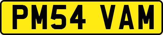 PM54VAM