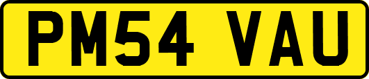 PM54VAU