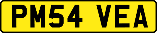 PM54VEA