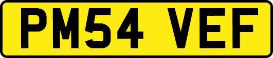 PM54VEF