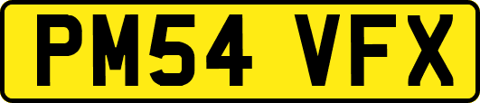 PM54VFX