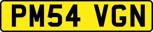 PM54VGN