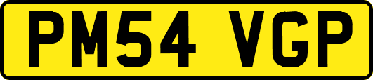 PM54VGP