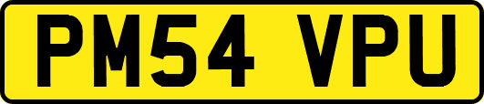 PM54VPU