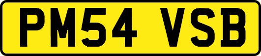 PM54VSB