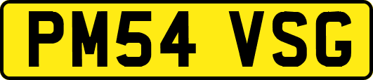 PM54VSG