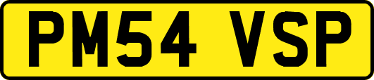 PM54VSP
