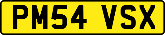 PM54VSX