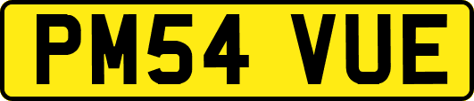 PM54VUE