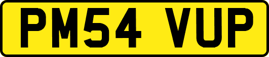 PM54VUP