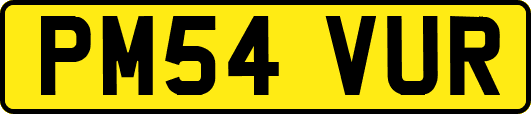 PM54VUR