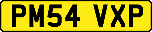PM54VXP