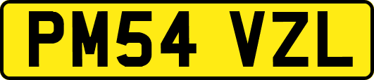 PM54VZL