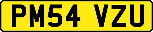 PM54VZU