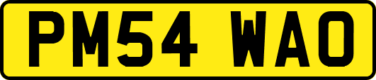 PM54WAO