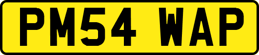 PM54WAP