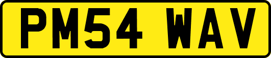 PM54WAV