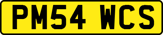 PM54WCS