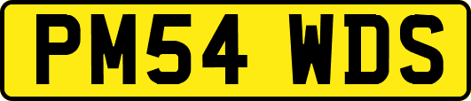 PM54WDS