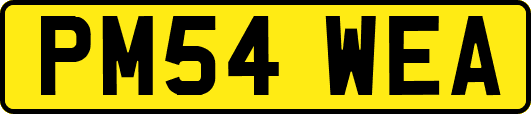 PM54WEA