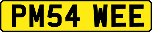 PM54WEE