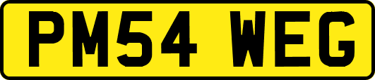 PM54WEG
