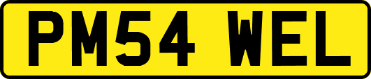 PM54WEL