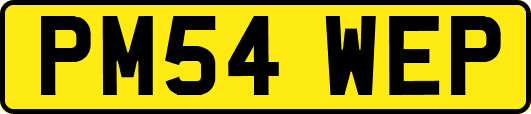 PM54WEP