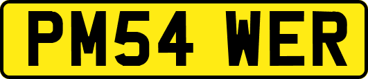 PM54WER