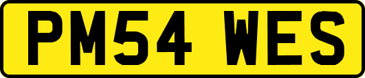 PM54WES