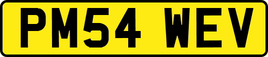 PM54WEV
