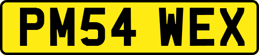 PM54WEX