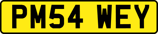 PM54WEY