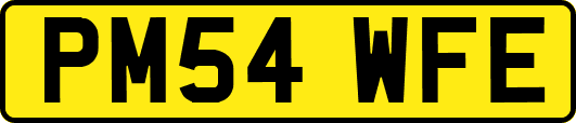 PM54WFE
