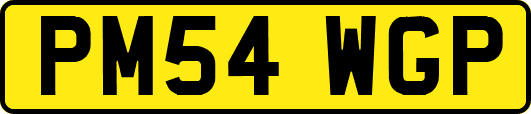 PM54WGP
