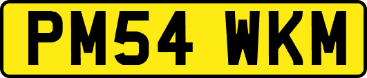 PM54WKM
