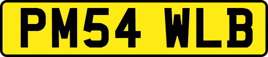 PM54WLB
