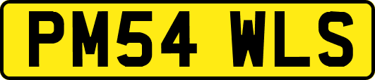 PM54WLS