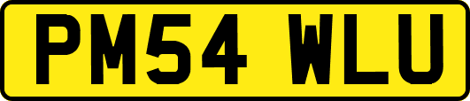 PM54WLU
