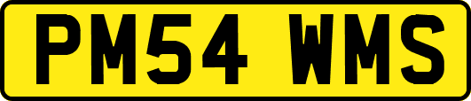 PM54WMS