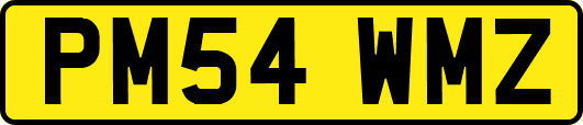PM54WMZ