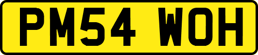 PM54WOH
