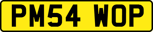 PM54WOP