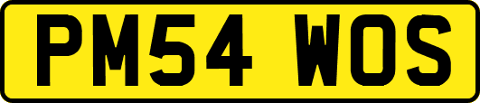 PM54WOS