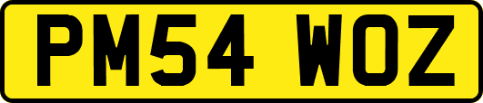 PM54WOZ