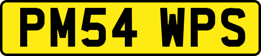 PM54WPS