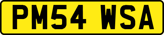 PM54WSA